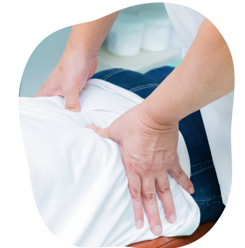 画像の説明 画像の説明